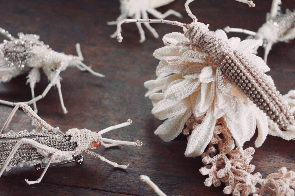 芝崎由華】新たな作品が入荷しました | 蟲と焼菓子 昆蟲菓舗 灯螂舎