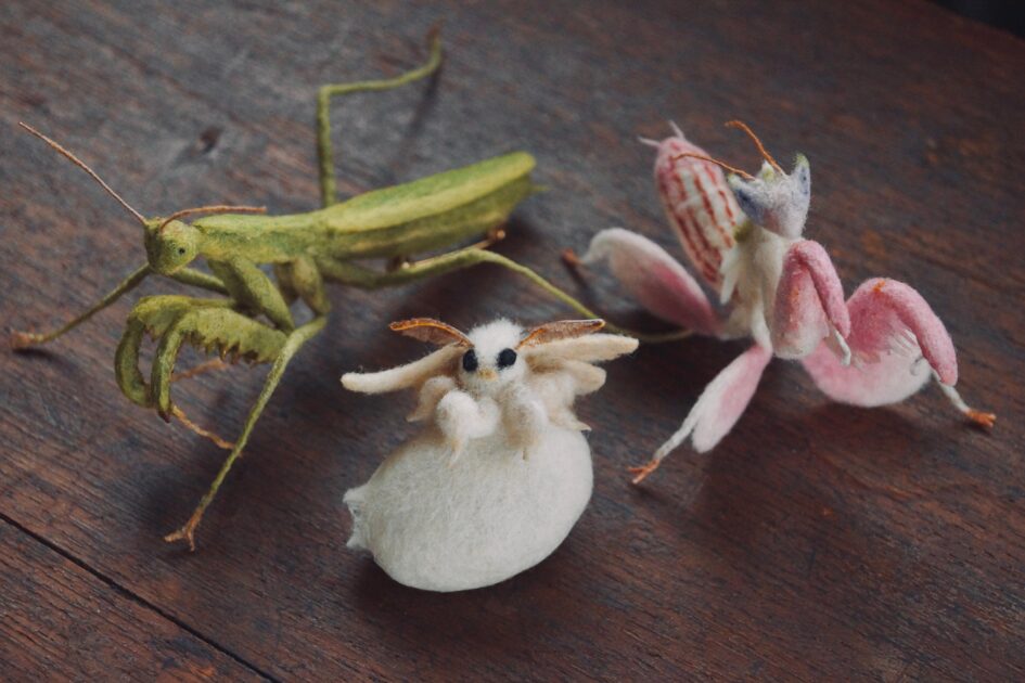 芝崎由華】新たな作品が入荷しました | 蟲と焼菓子 昆蟲菓舗 灯螂舎
